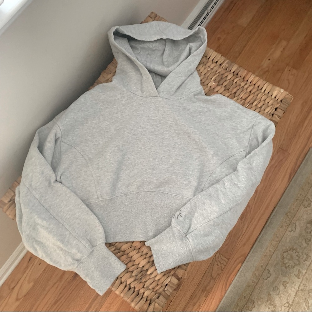 NWOT OFFLINE by Aerie Throwback Cropped Hoodie